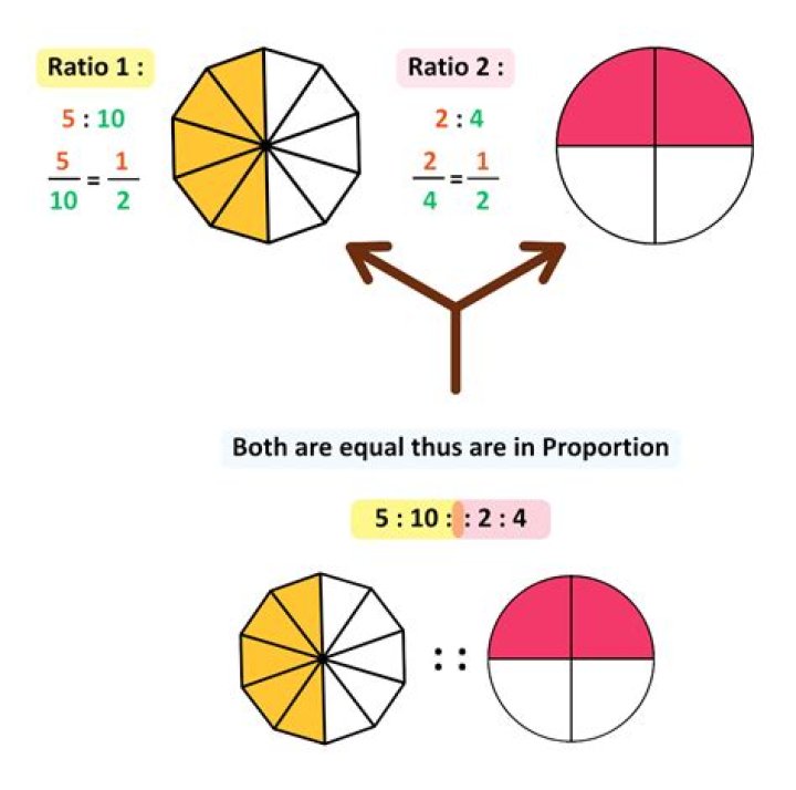 A Tale Of Proportions And Possibilities