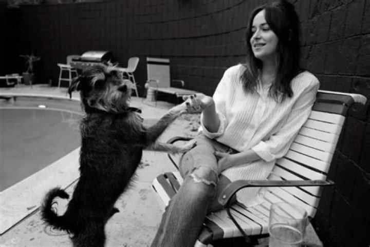 Dakota Johnson Pets - Celebrity Pets