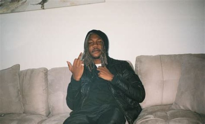 Destroy Lonely Pets - Celebrity Pets