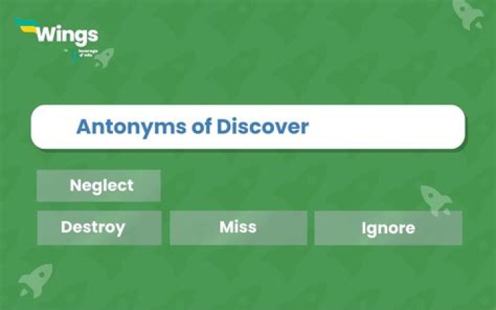 Discover Meaning And Spread Joy