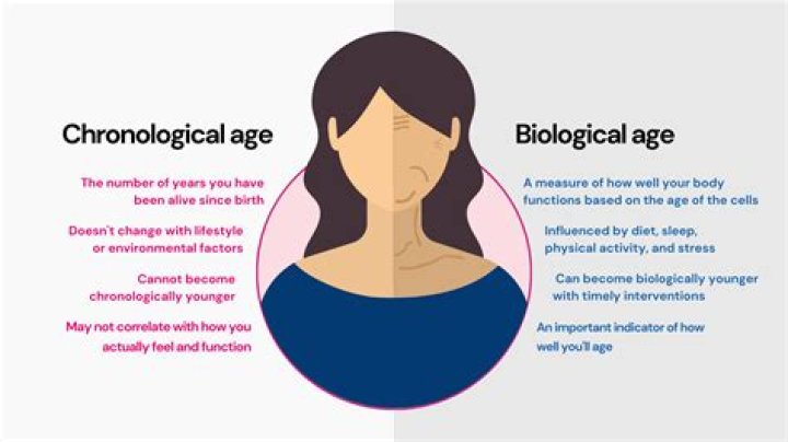 Discover Sophia, The Key To Your Biological Age