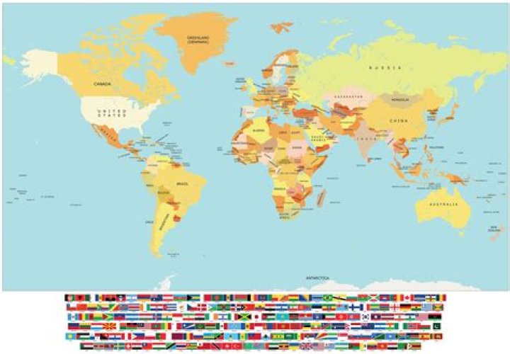 Discover The World Of Counts Customs