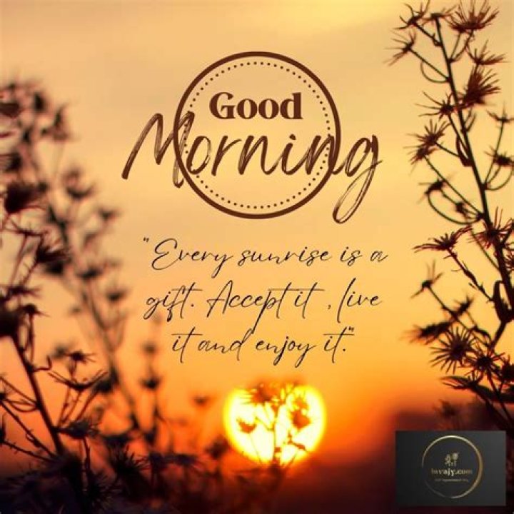 Discoveries And Insights For Meaningful Mornings