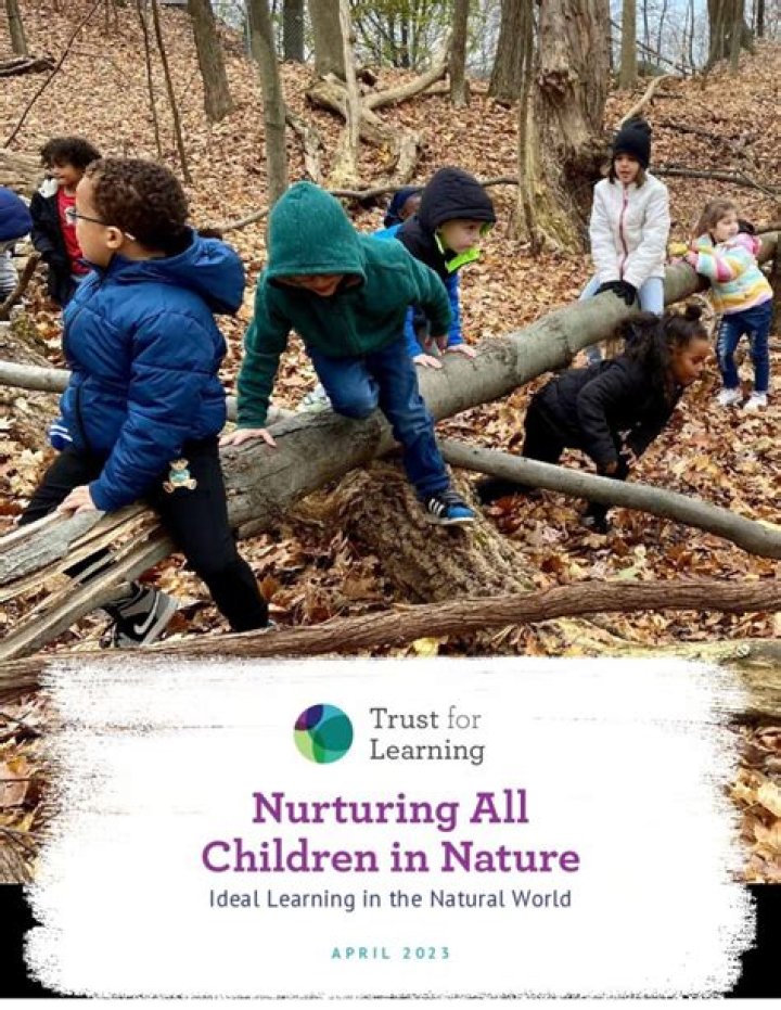 Discoveries And Insights For Nurturing Children