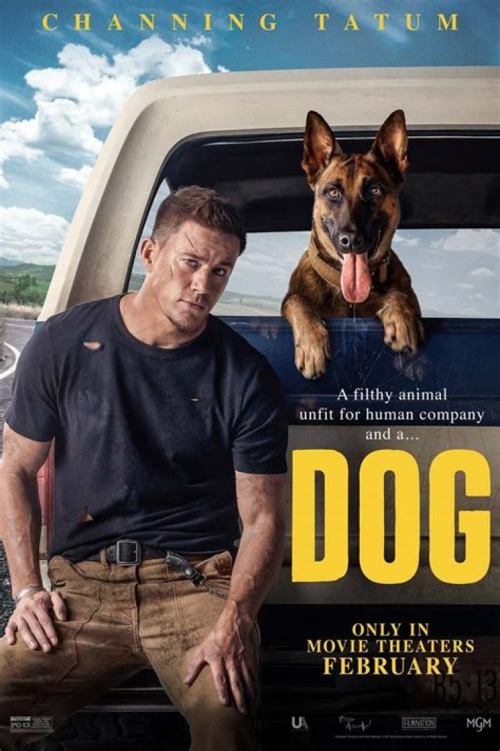 Is Dog starring Channing Tatum on Netflix? (Where to stream)