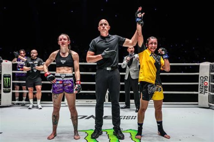 You Guys Ready For The Sequel To Fight Club?