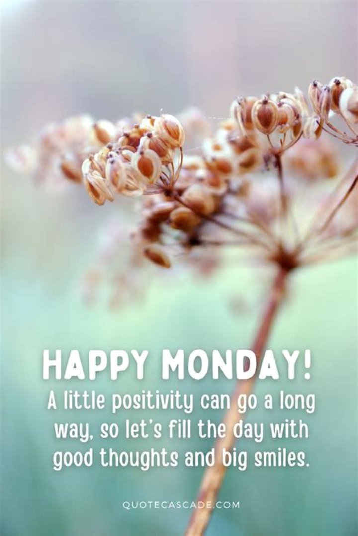 Happy Monday Messages: Unlocking Positivity And Productivity