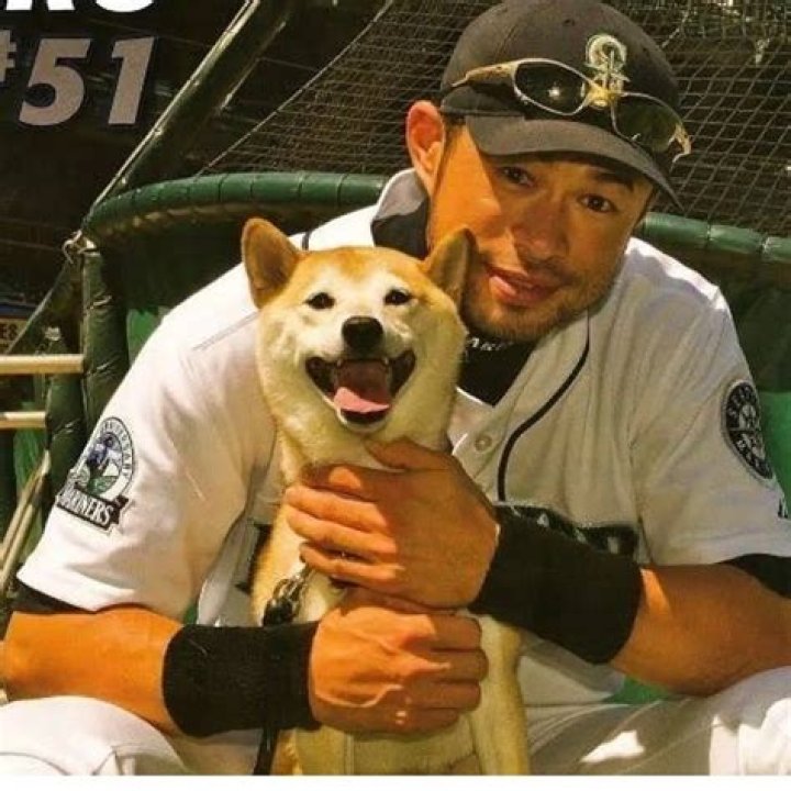 Ichiro Suzuki Pets - Celebrity Pets
