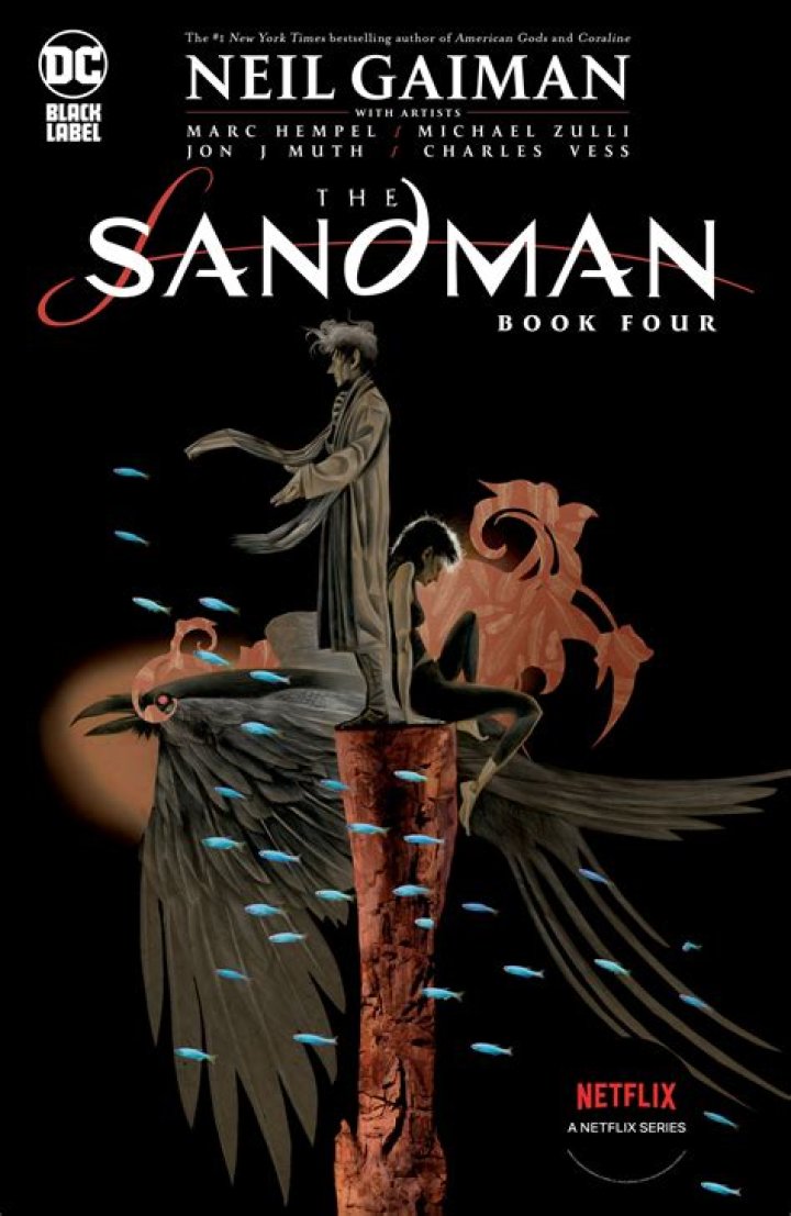 Is The Sandman based on a book?