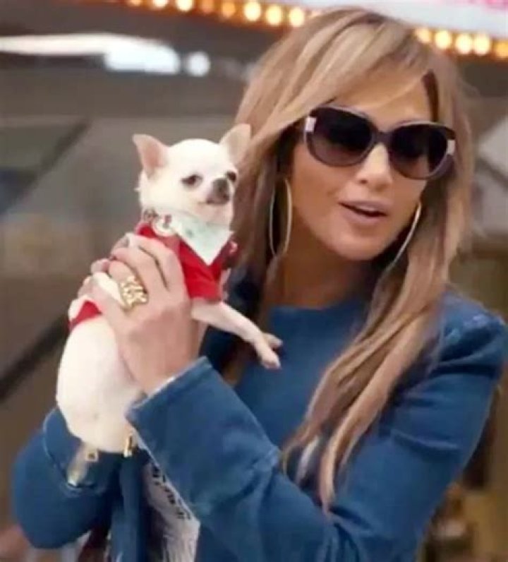 Jennifer Lopez Pets - Celebrity Pets