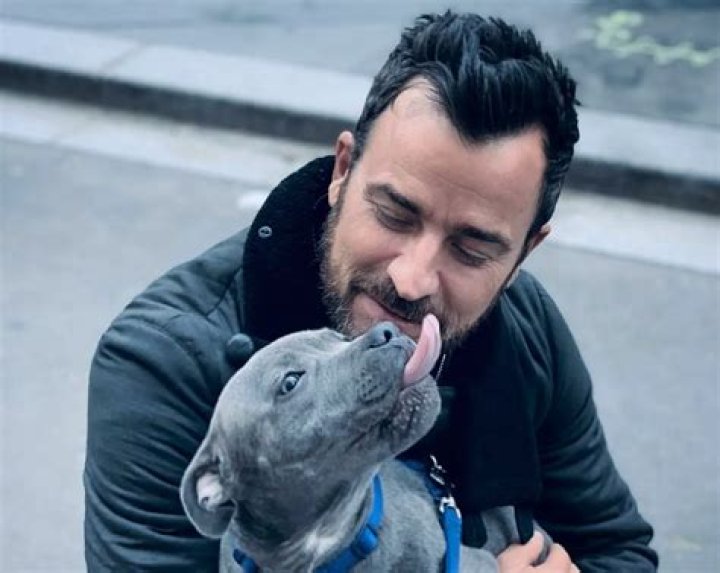 Justin Theroux Pets - Celebrity Pets