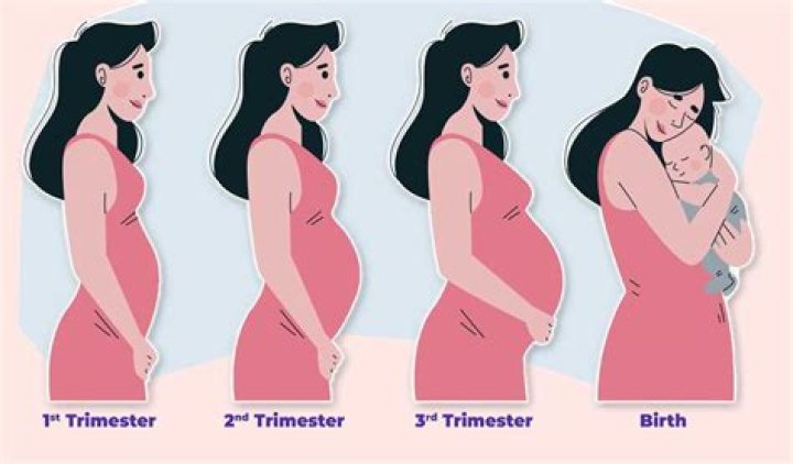 Kimberly Sustad's Pregnancy Journey Revealed