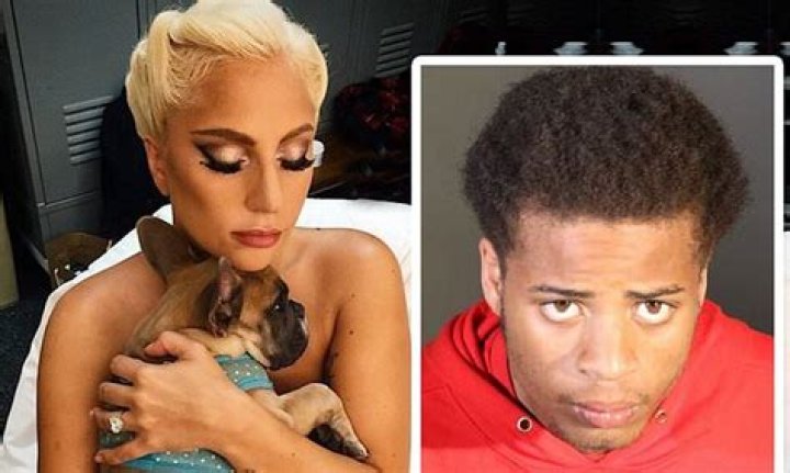 Lady Gaga’s dognapper arrested 5 months after being released by mistake