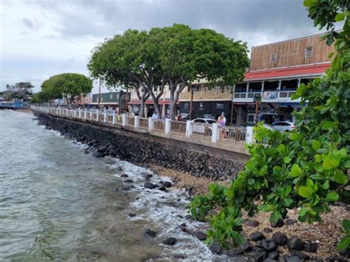 Lahaina Cruise: Best Cruises to Lahaina