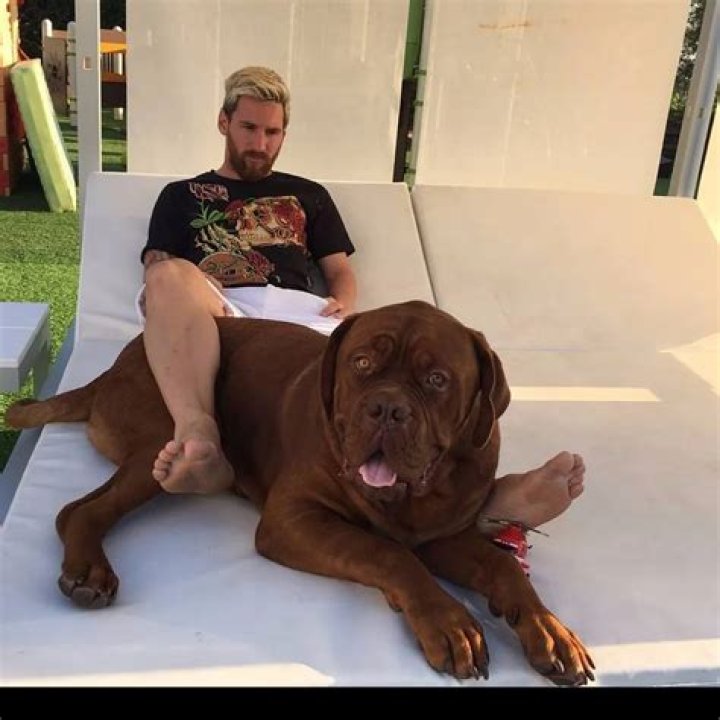 Lionel Messi Pets - Celebrity Pets