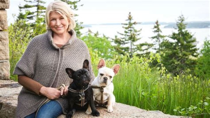 Martha Stewart Pets - Celebrity Pets