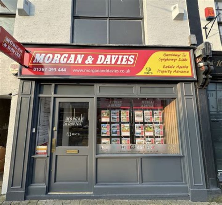 Morgan Davies Pets - Celebrity Pets