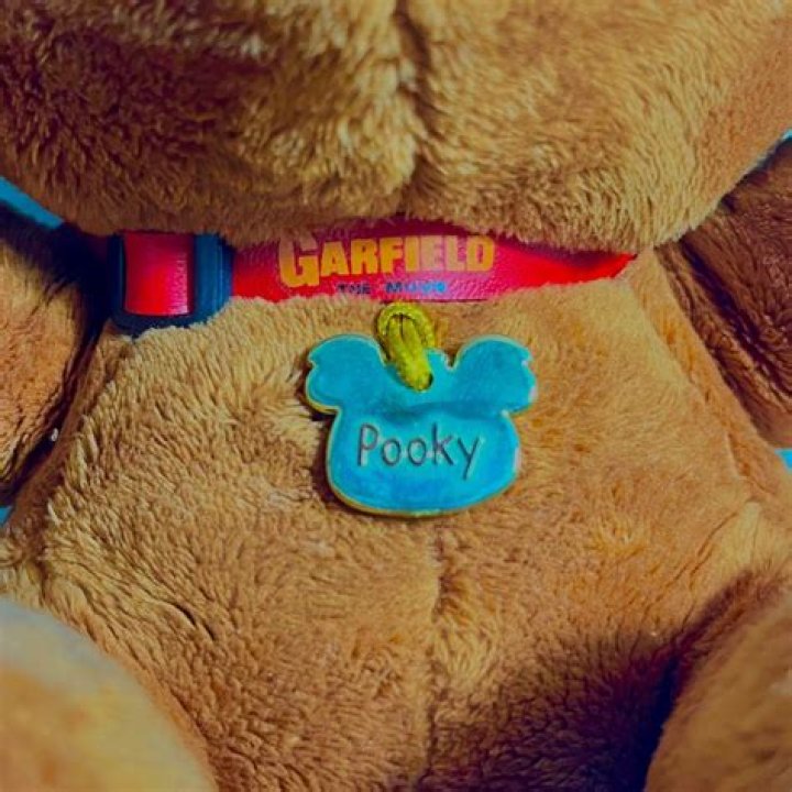 Pooky The Munchkin may have short fluffly legs but don’t underestimate her reach