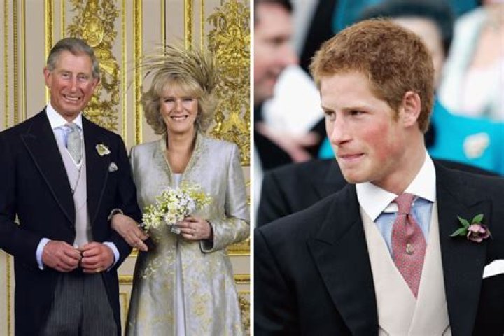 Prince Harry begged for King Charles and Camilla's marriage not to happen