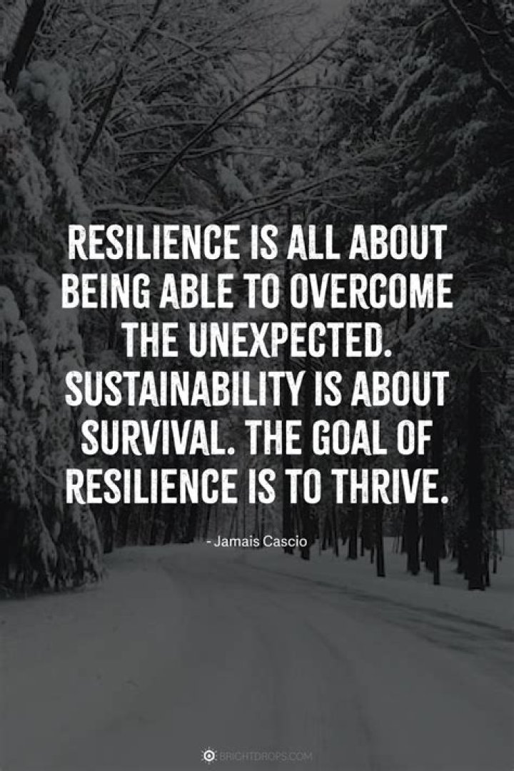 Profound Quotes On Pain And Resilience