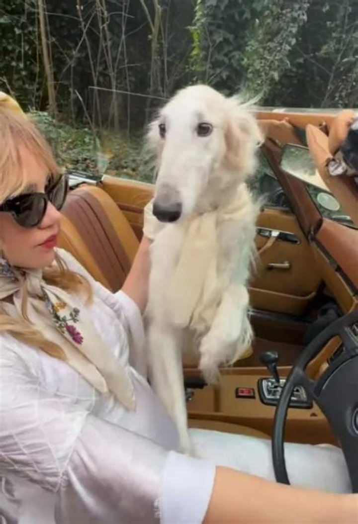 Suki Waterhouse Pets - Celebrity Pets