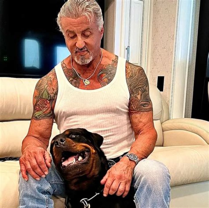Sylvester Stallone Pets - Celebrity Pets