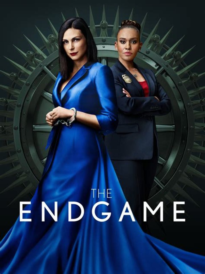 Is The Endgame on Netflix? (where to watch the show online)