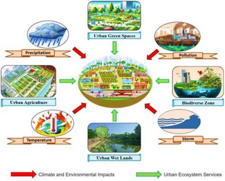 Uncovering The Details And Impacts