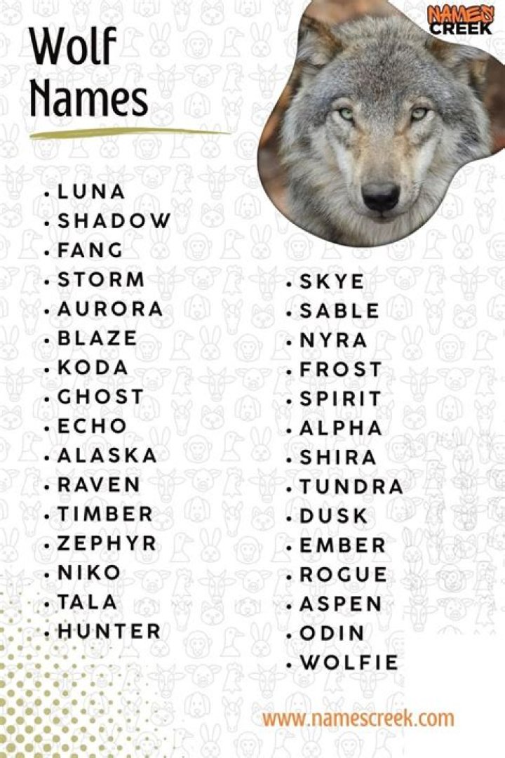 Unleash The Secrets Behind Wolf Names: Discover Unforgettable Choices