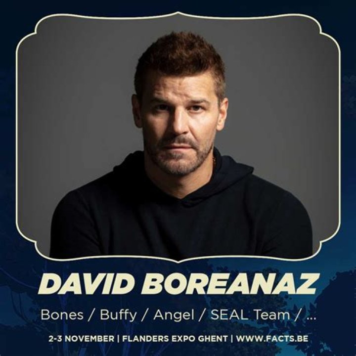 Unveiling The Acting Journey Of David Boreanaz's Son