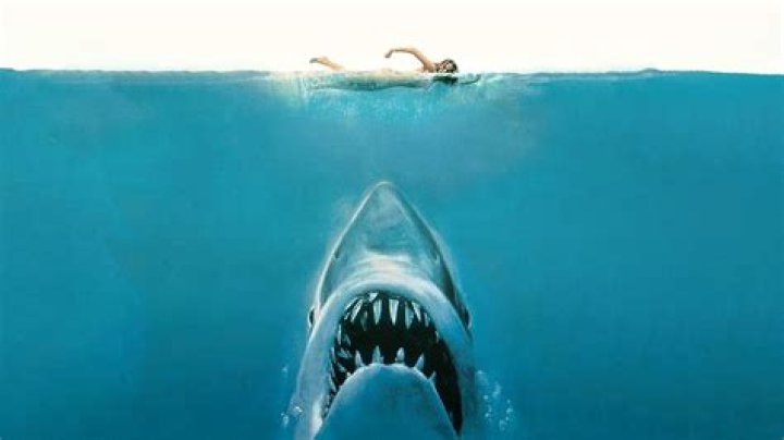 Unveiling The Fortune Behind The Jaws Icon